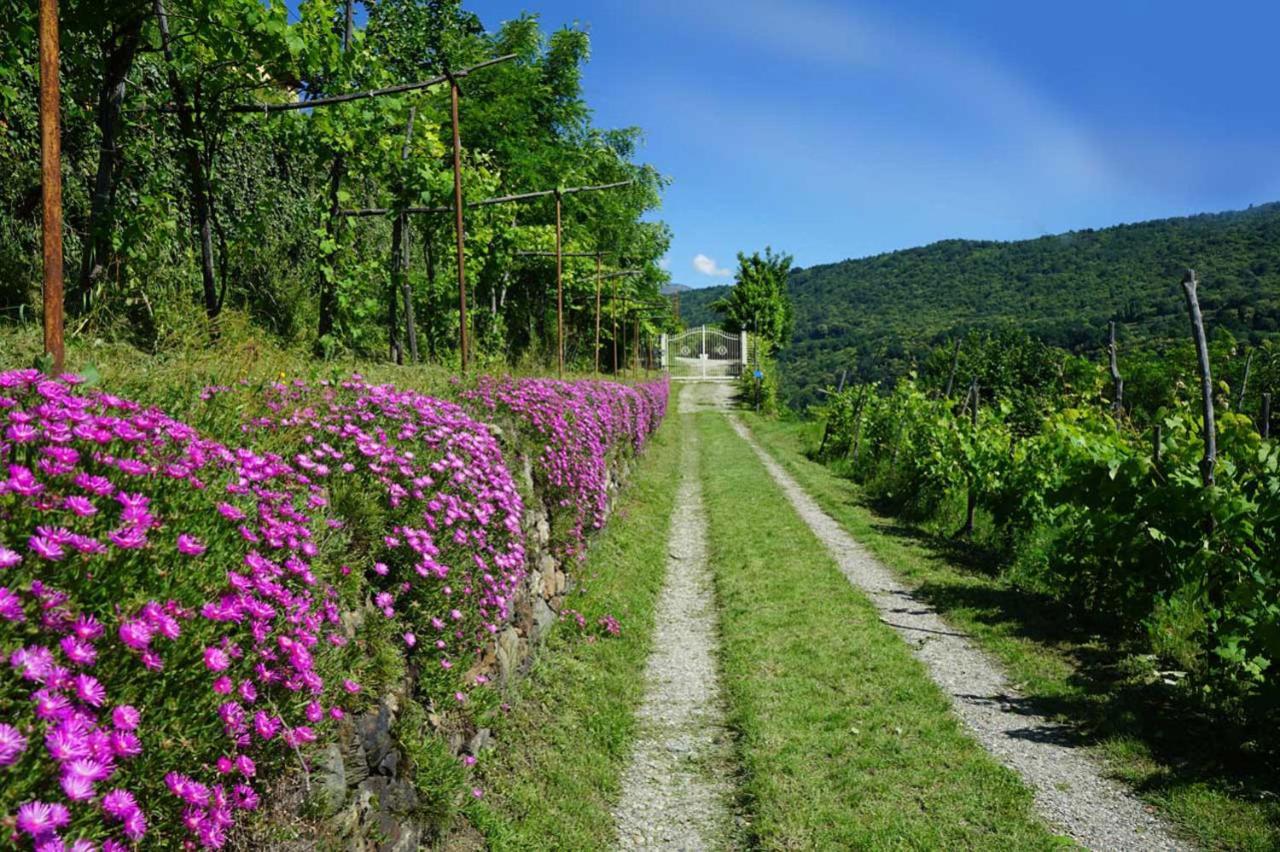 B&B Antiche Pietre Bollengo Экстерьер фото