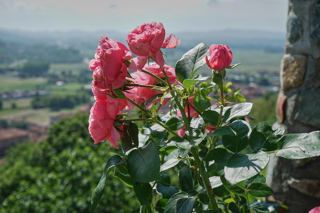 B&B Antiche Pietre Bollengo Экстерьер фото