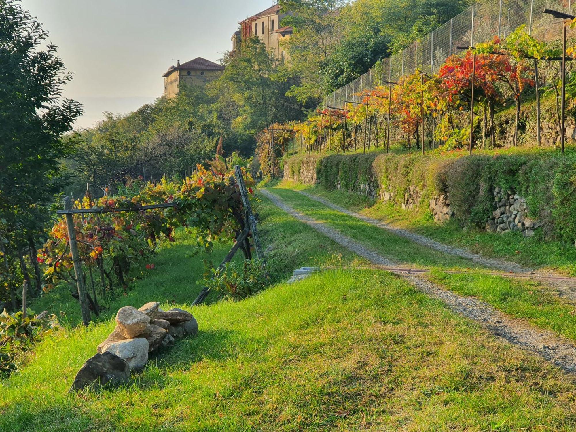 B&B Antiche Pietre Bollengo Экстерьер фото